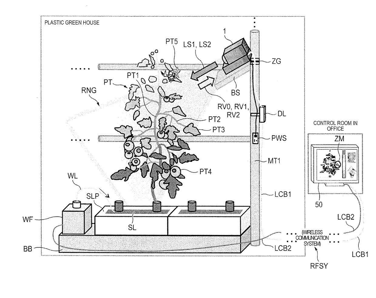 Water content of a part of plant evaluation method and water content of a part of plant evaluation apparatus