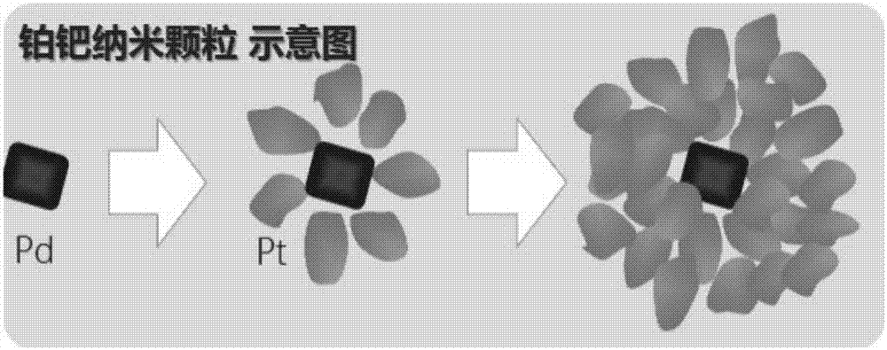 Escherichia coli O157:H7 and salmonella typhimurium co-testing paper, preparation method and application thereof