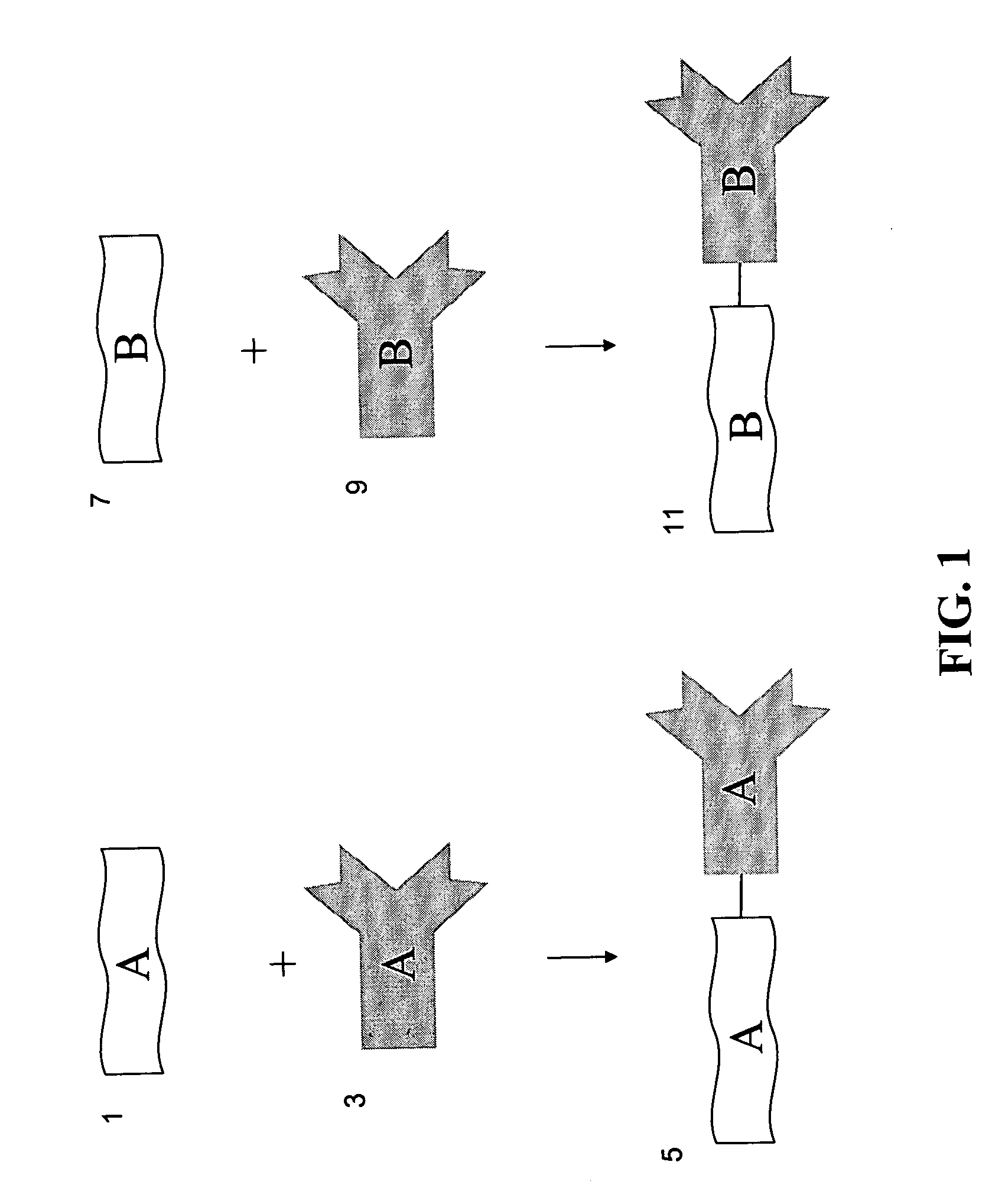 Methods for detecting proteins