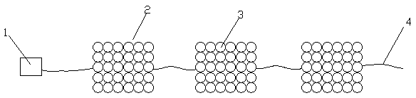 Fry collecting device and fry collecting method for fry raising of cherax quadricarinatus