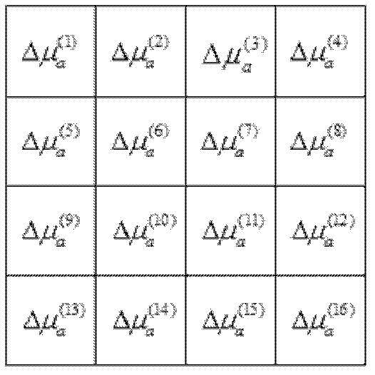 Optical topology imaging system and method on basis of digital phase locking detection technology