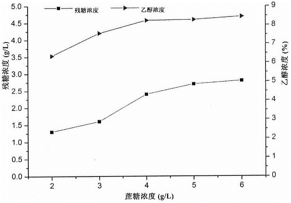 Preparation method for fermented artificial cordyceps crataequs pinnatifida bunges wine