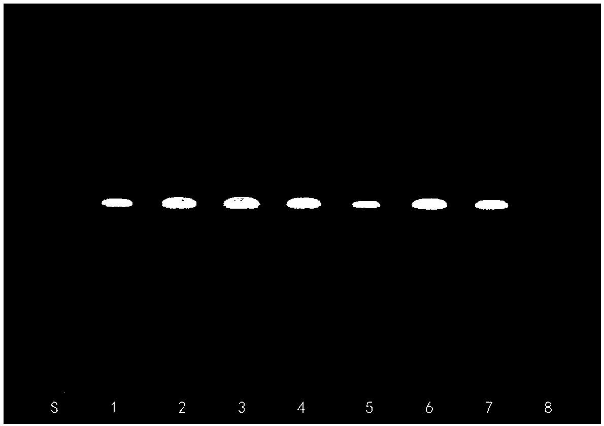 Radix Aucklandiae reference extract product, and preparation method and application thereof