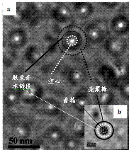 Preparation method of chitosan-based slow-release flavor type nano composite micro-capsule coating material