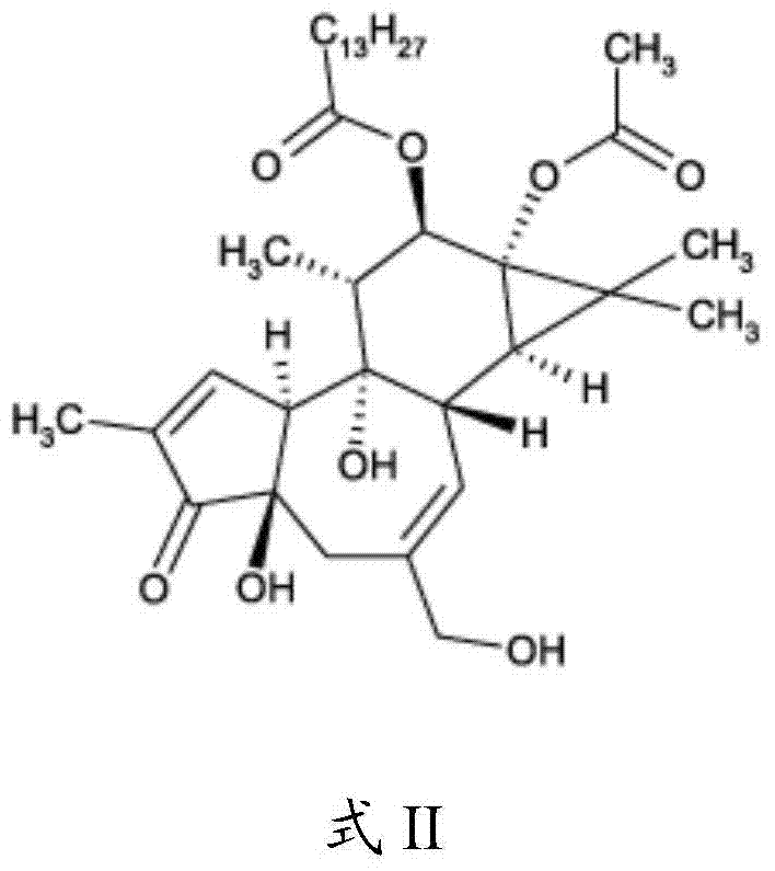 Compositions and methods of use of phorbol esters