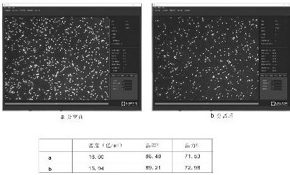 Method for rapidly typing mammal sperms by using biologically modified beta-cyclodextrin nano magnetic particles