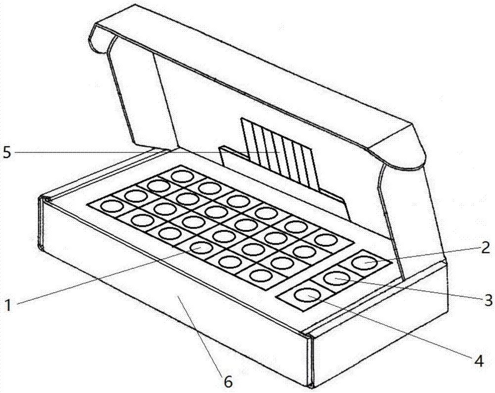 Fluorescent quantitative PCR detection kit for mitochondrion deafness A7445G mutation and application thereof