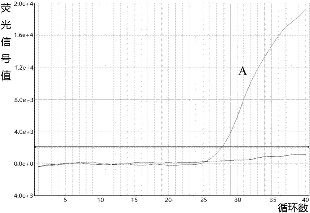 Fluorescent quantitative PCR detection kit for mitochondrion deafness A7445G mutation and application thereof