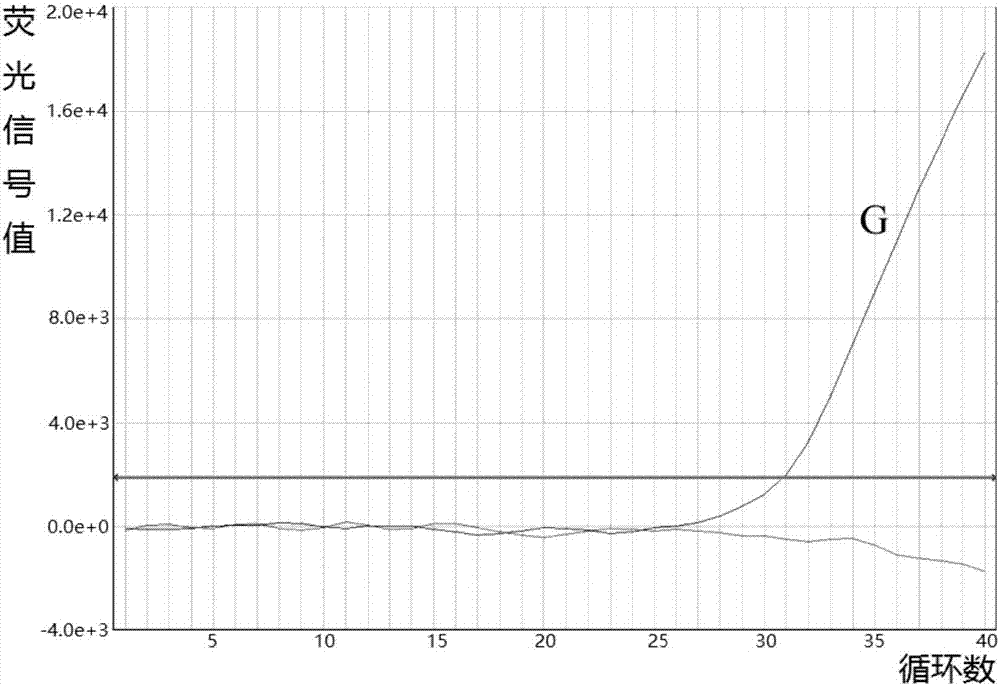 Fluorescent quantitative PCR detection kit for mitochondrion deafness A7445G mutation and application thereof