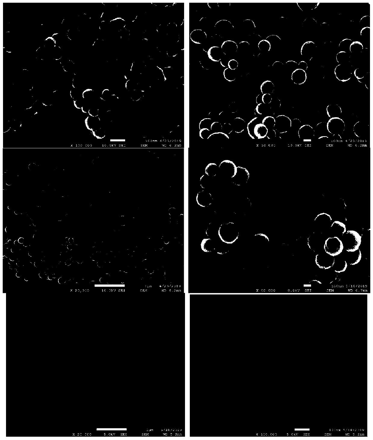 Preparation method and uses of nanometer artificial antibody targeting brain natriuretic peptide