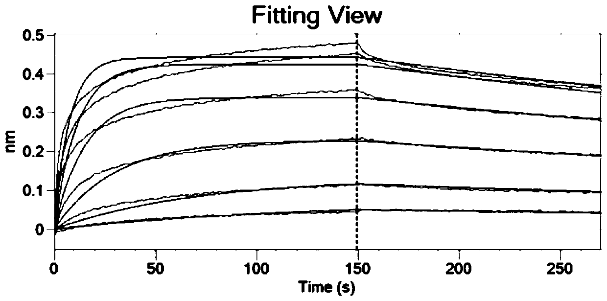 Preparation method and uses of nanometer artificial antibody targeting brain natriuretic peptide