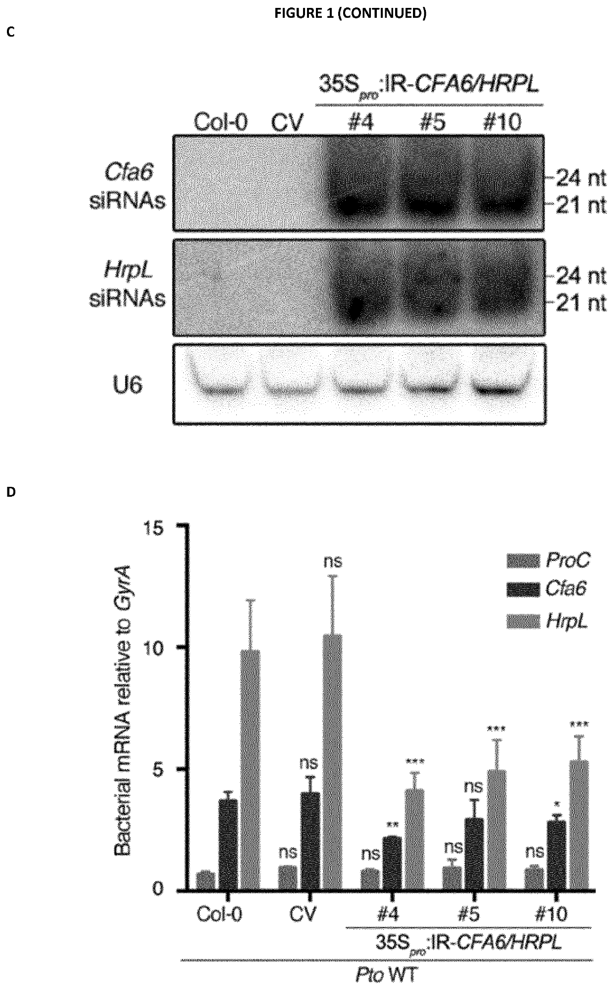 Rna-based biocontrol methods to protect plants against pathogenic bacteria and / or promote beneficial effects of symbiotic and commensal bacteria