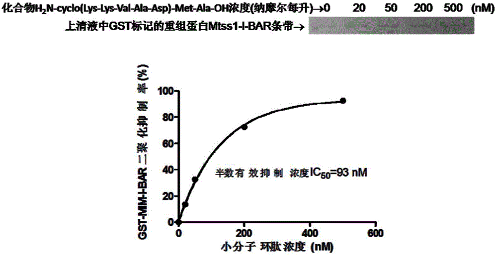 Metastatic tumor deletion protein small-molecule cyclopeptide inhibitor as well as preparation method and application thereof