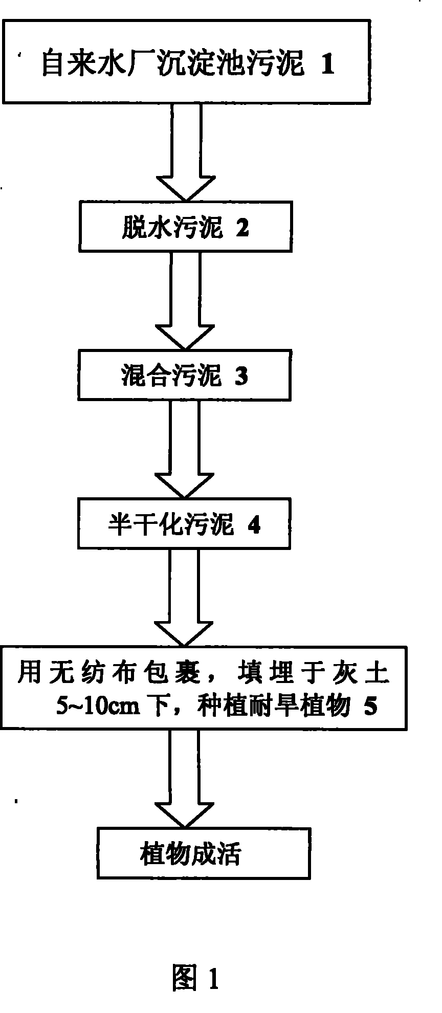 Integral treatment utilization method for sludge produced from water works