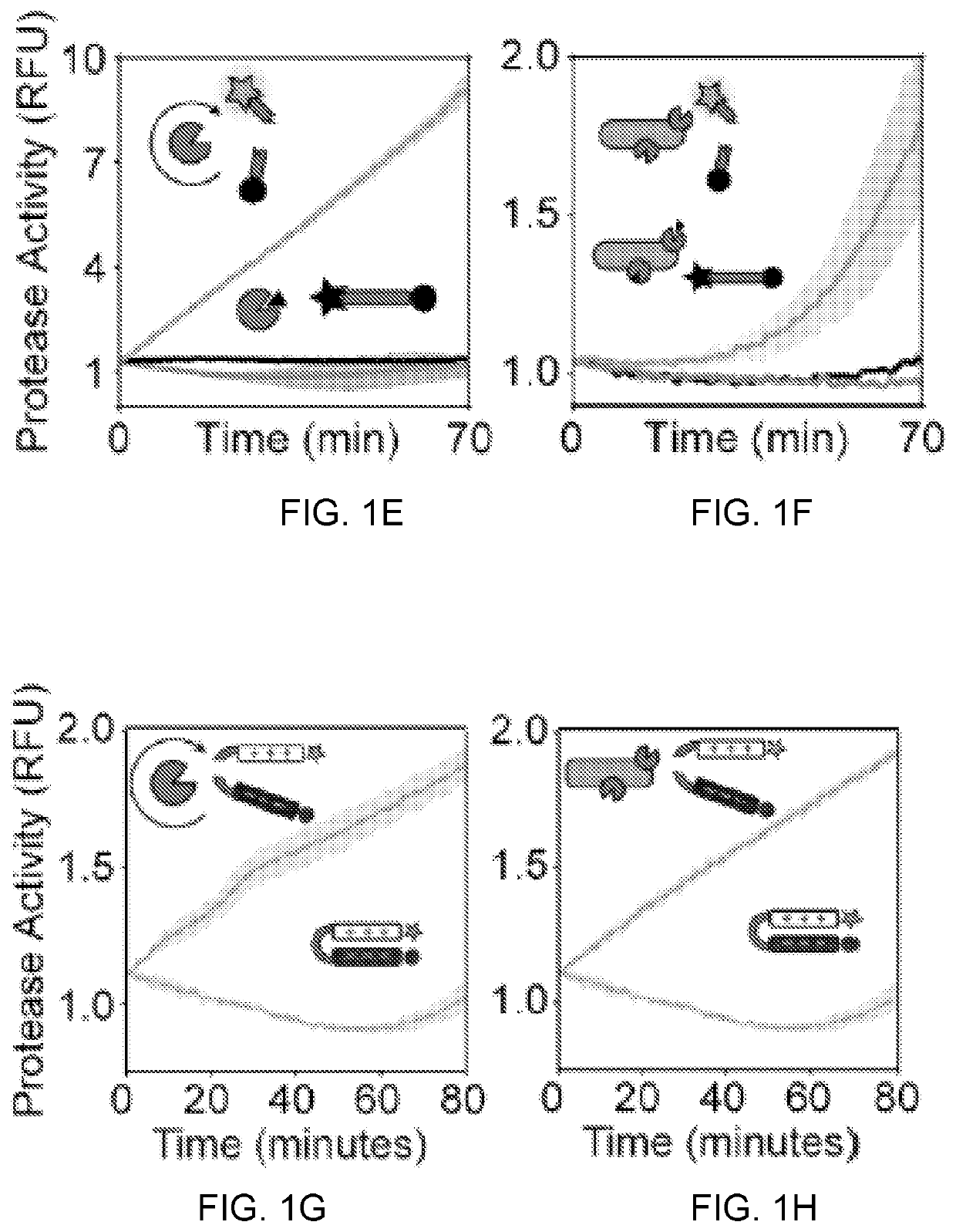 Self-titrating bacterial protease-activated prodrug