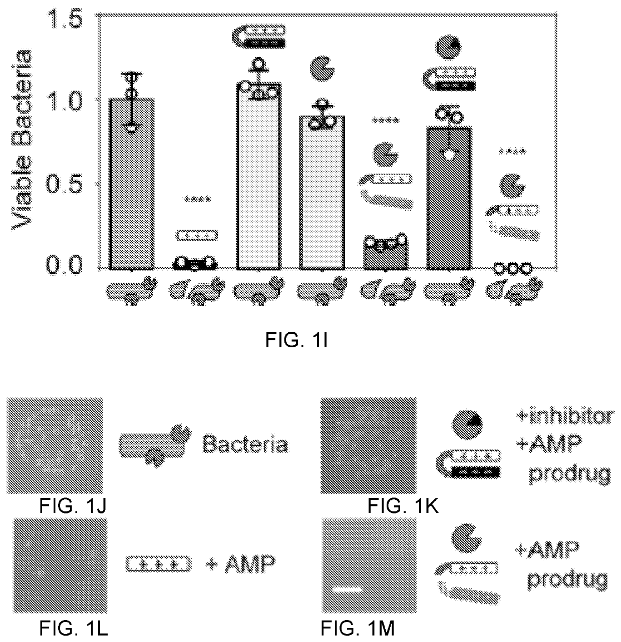 Self-titrating bacterial protease-activated prodrug