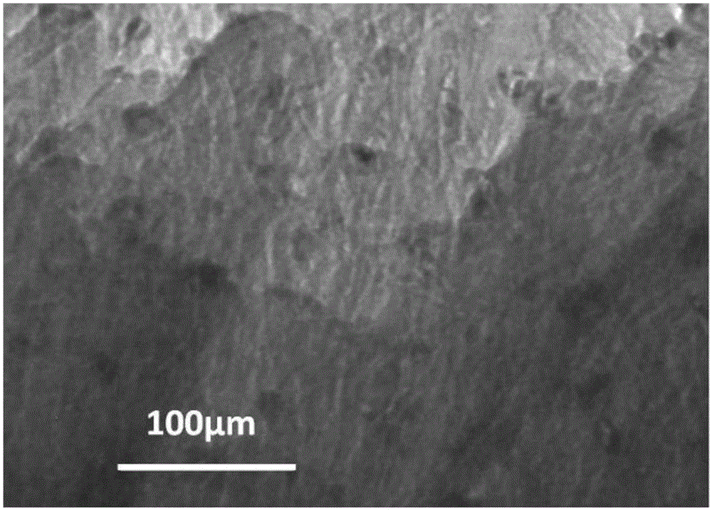 Preparation process of composite material laminated plate formed by directionally arranging carbon nano-tubes