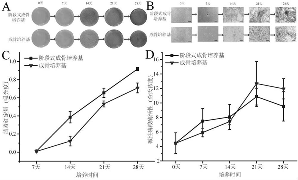 Culture medium capable of improving osteogenic differentiation efficiency of human mesenchymal stem cells and culture method