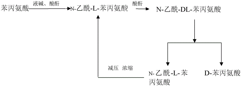 Method for producing D-phenylalanine by using L-phenylalanine as raw material