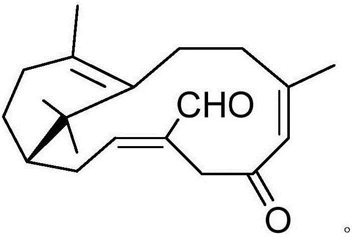 Pharmaceutical composition containing acipimox and medical application of pharmaceutical composition