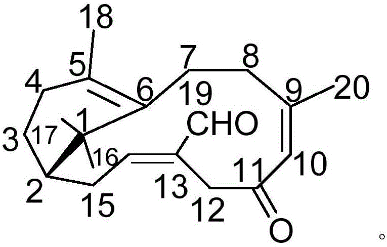 Pharmaceutical composition containing acipimox and medical application of pharmaceutical composition