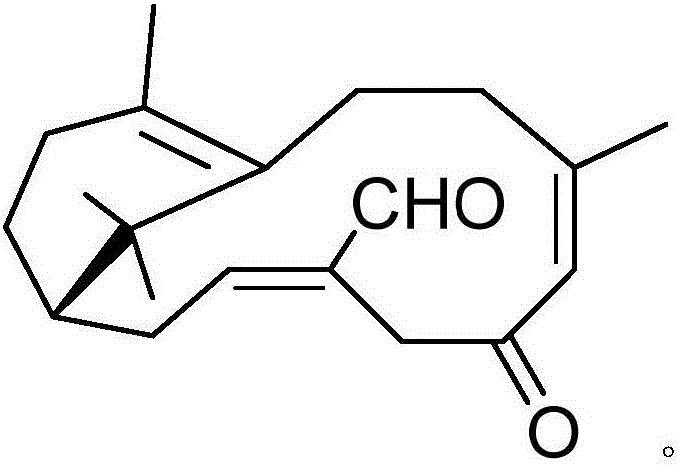 Pharmaceutical composition containing acipimox and medical application of pharmaceutical composition