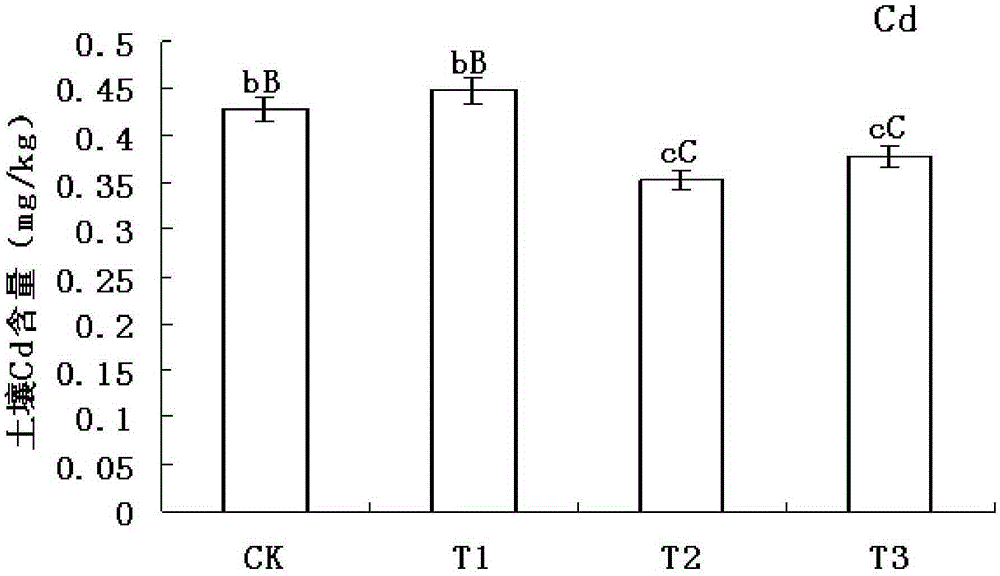 A three-round cultivation method in a double-cropping paddy field