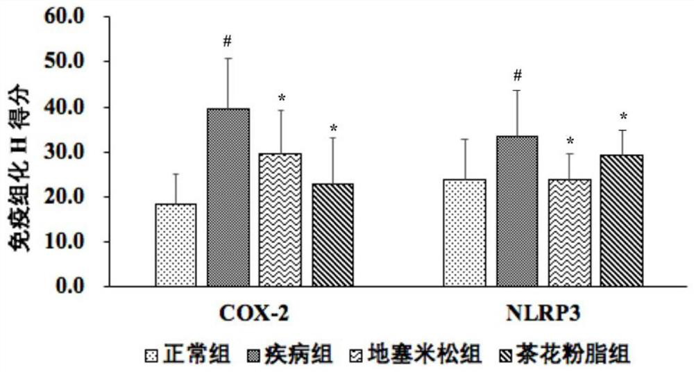 Bee pollen lipid extract, and extraction method and application thereof