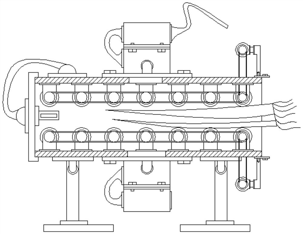 Identification and detection device for pollution-free vegetables