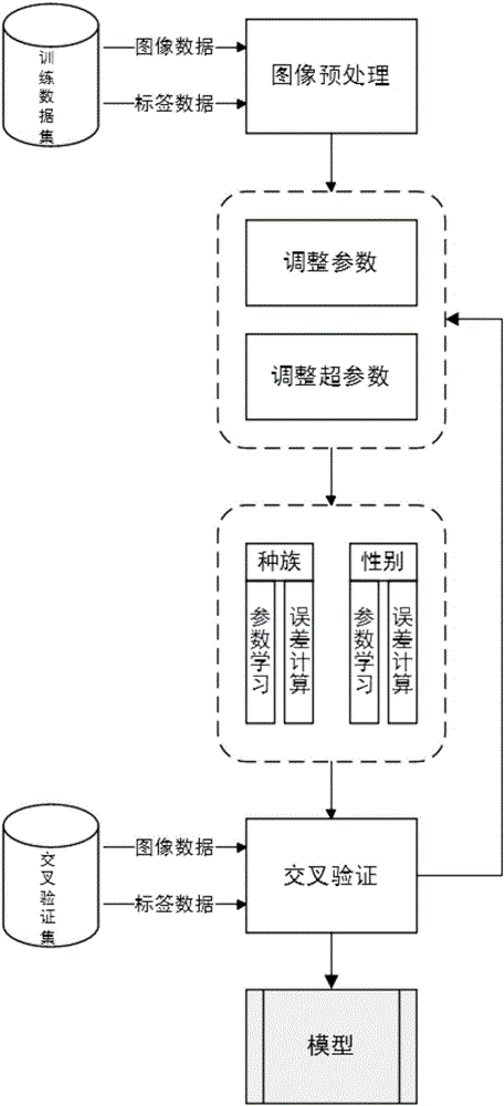 Multi-task learning based method for recognizing race and gender through human face image