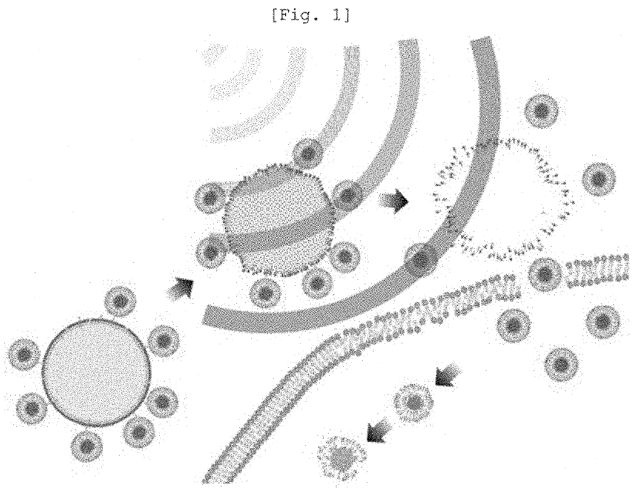 Nanoliposome-microbubble conjugate including drug for hair loss treatment encapsulated in nanoliposome and composition for alleviating or treating hair loss containing same