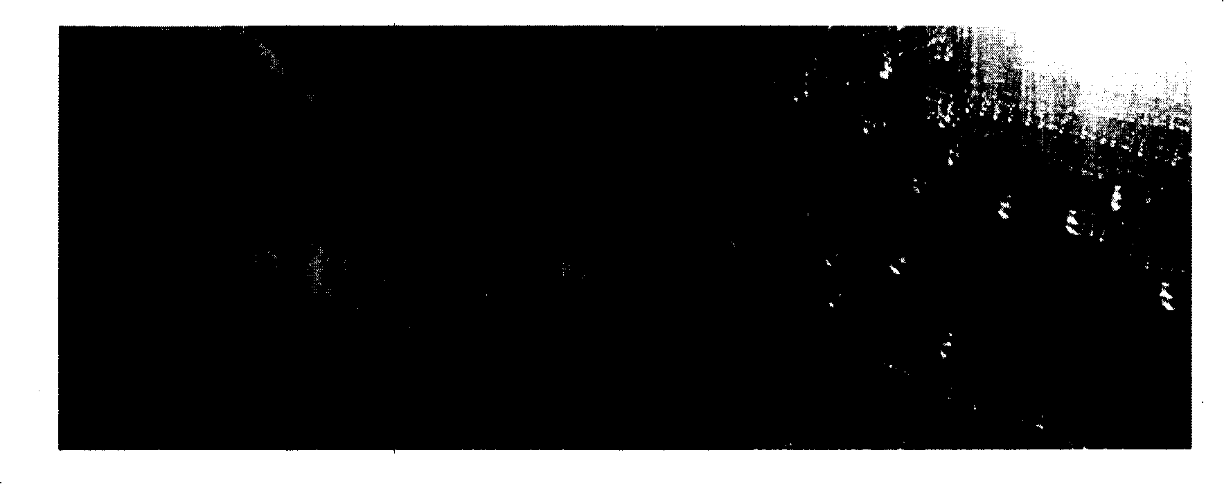 Material surface treatment composition, material and hydrophobic film prepared from the same