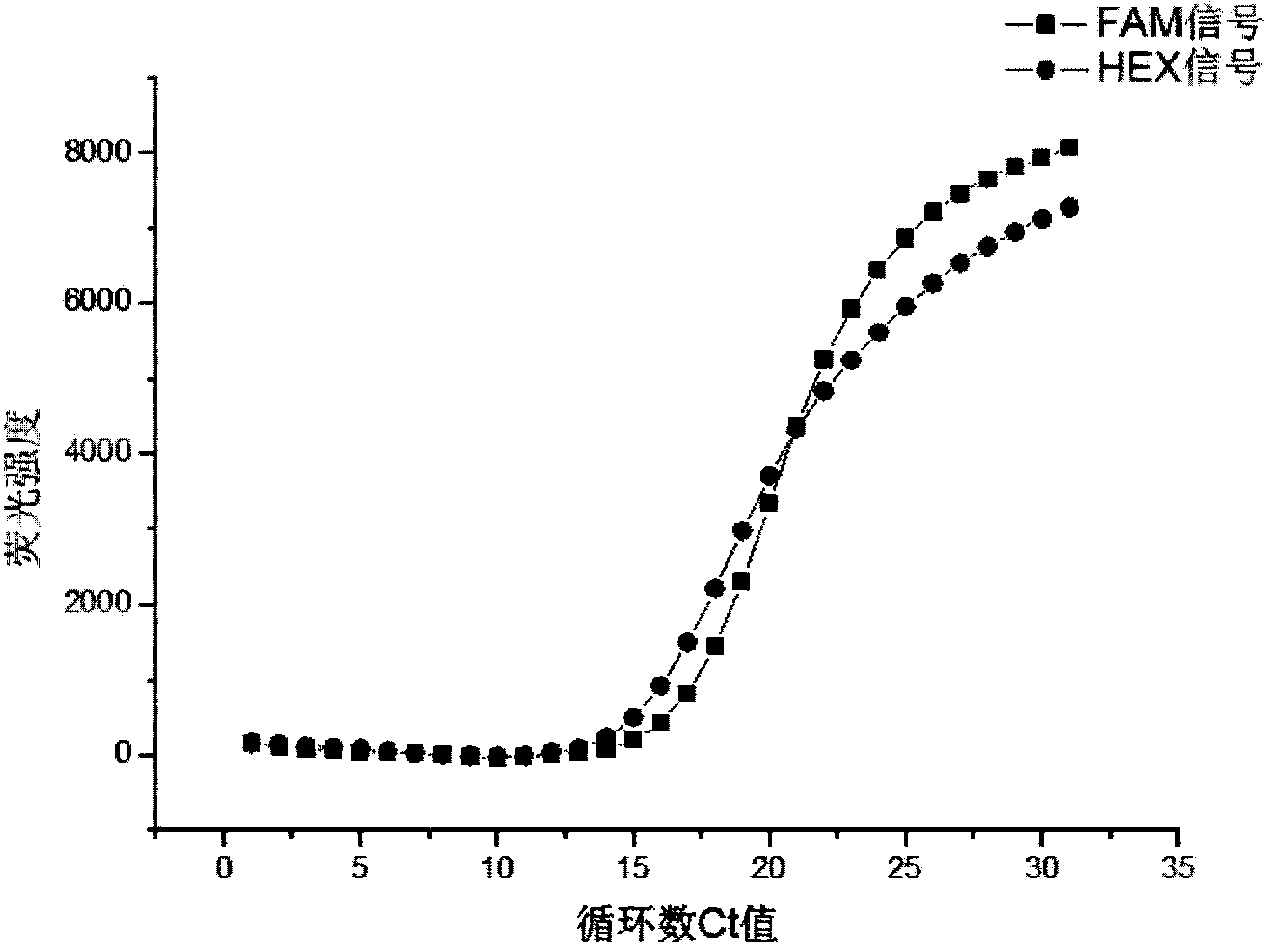 Primer and probe for screening human deafness multi-gene mutation and application method thereof