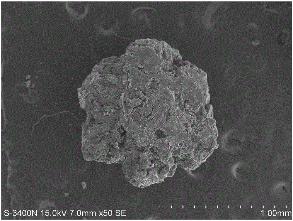 High-specific surface silkworm excrement-porous carbon-MOFs composite material prepared through impregnation method and preparation method and application thereof