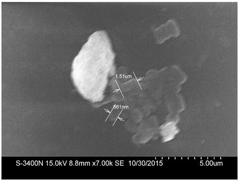 A Strain of Enterobacteriaceae and Its Application