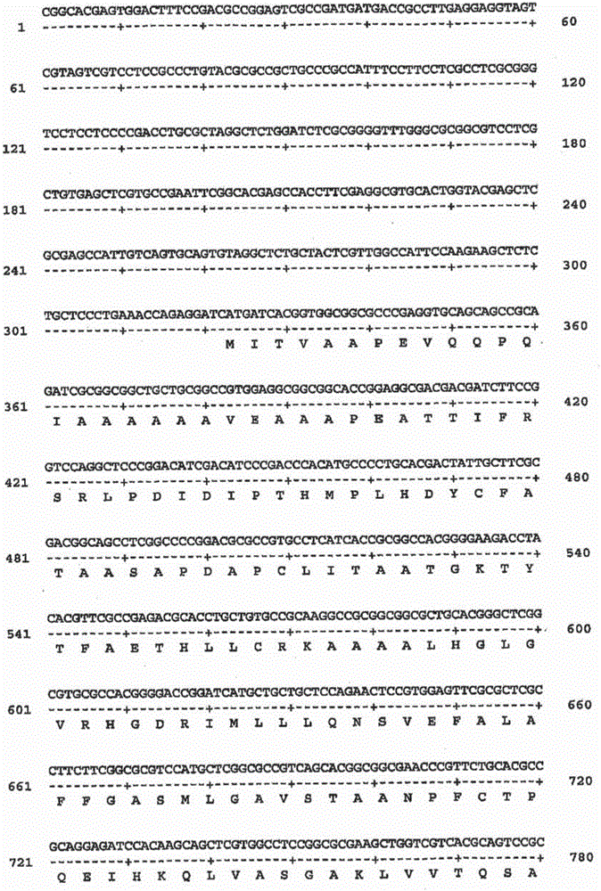 Modification of lignin biosynthesis via sense suppression