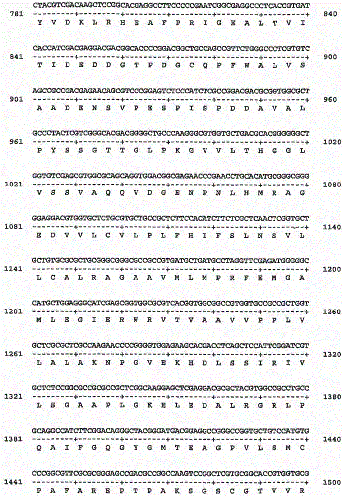 Modification of lignin biosynthesis via sense suppression