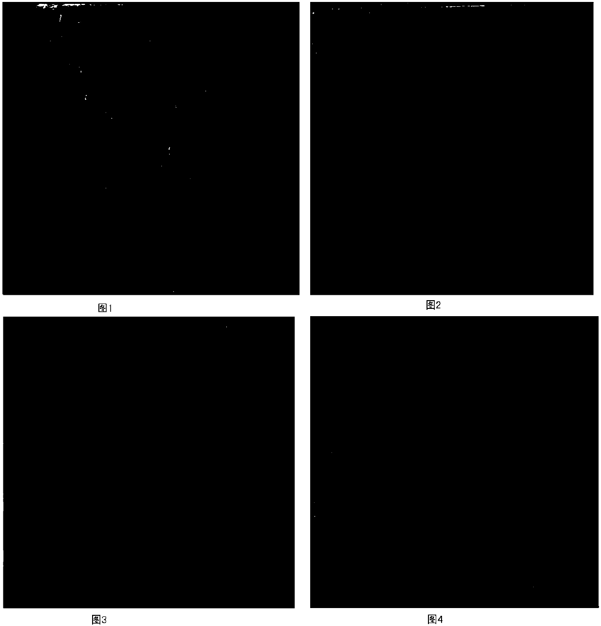 Novel anti-corrosion coating and preparation method thereof