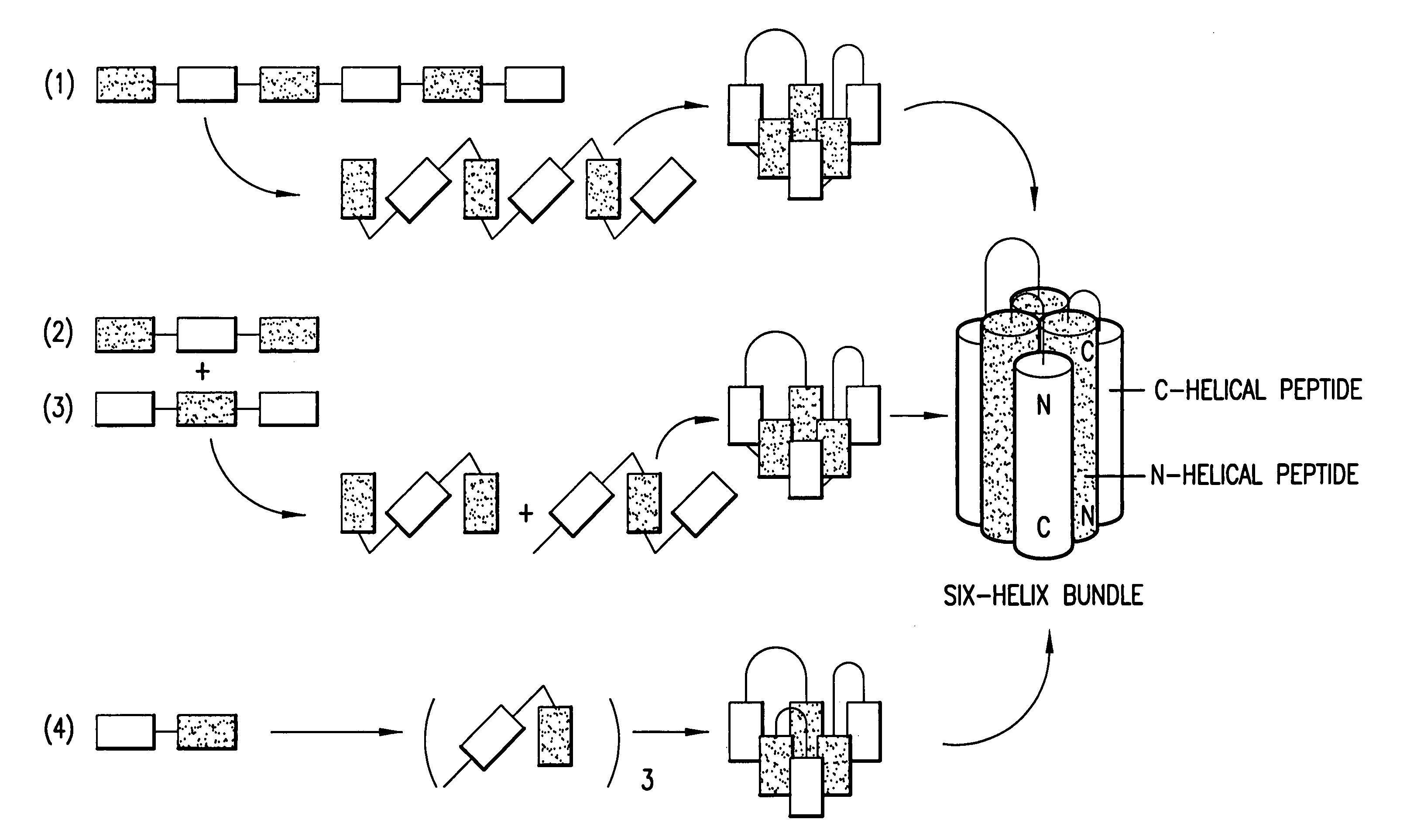 Methods of eliciting broadly neutralizing antibodies targeting HIV-1 gp41