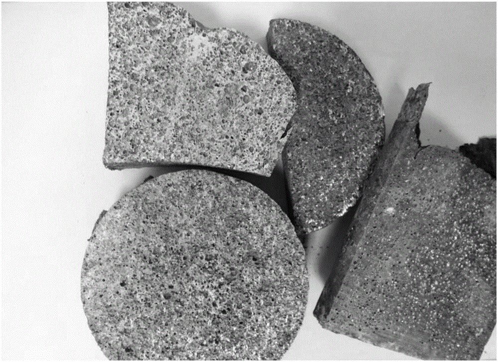 Recycling method of foamed magnesium