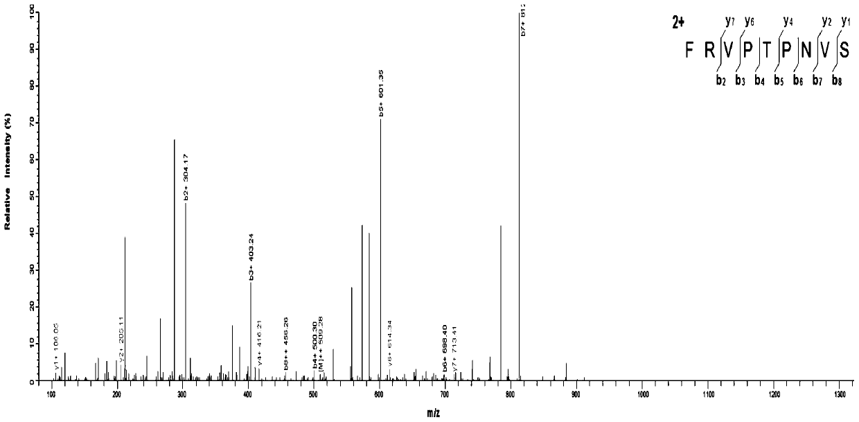 ACE inhibitory peptide from snakehead protein source and preparation method of ACE inhibitory peptide