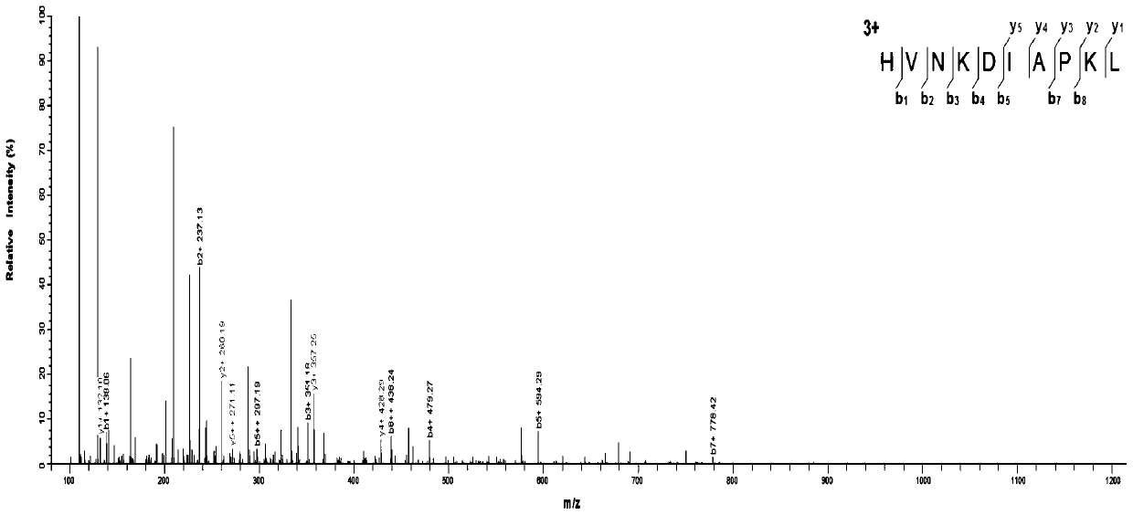 ACE inhibitory peptide from snakehead protein source and preparation method of ACE inhibitory peptide