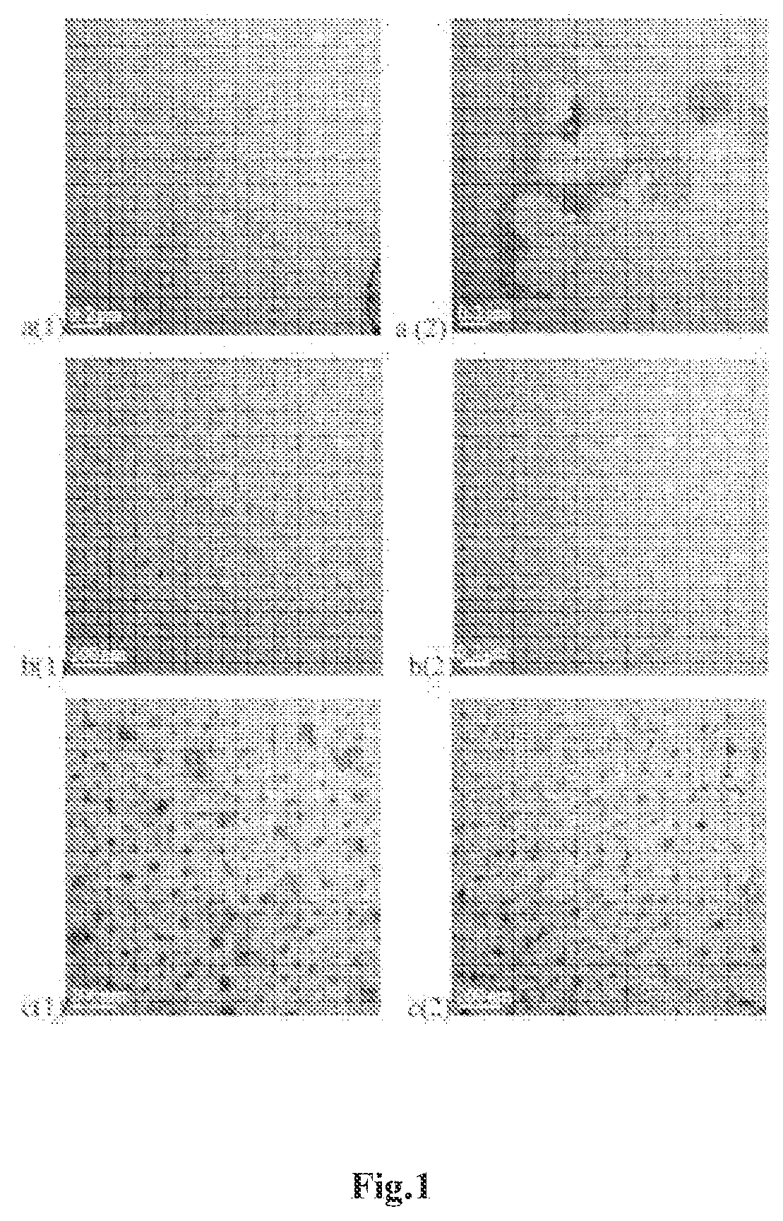 Heparin NANO drug carrier system loaded with amino Anti-tumor drug and preparation method thereof