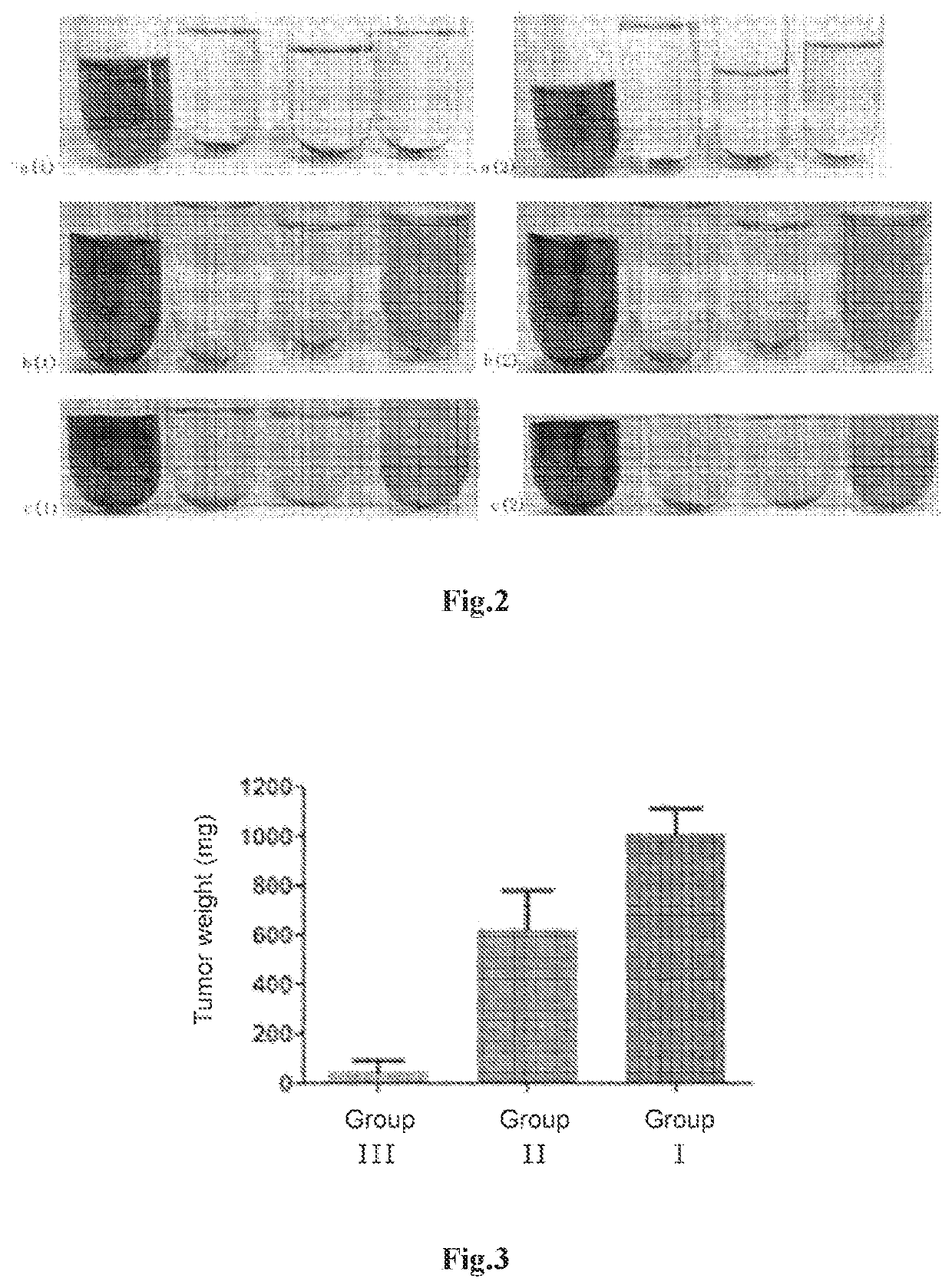 Heparin NANO drug carrier system loaded with amino Anti-tumor drug and preparation method thereof