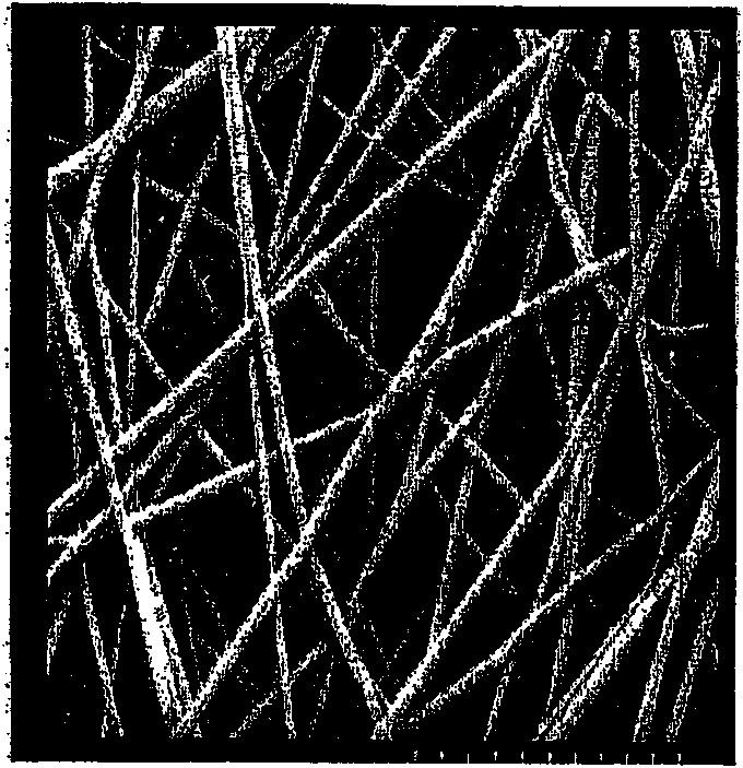 Nano carbon fiber, fuel cell and forming method thereof