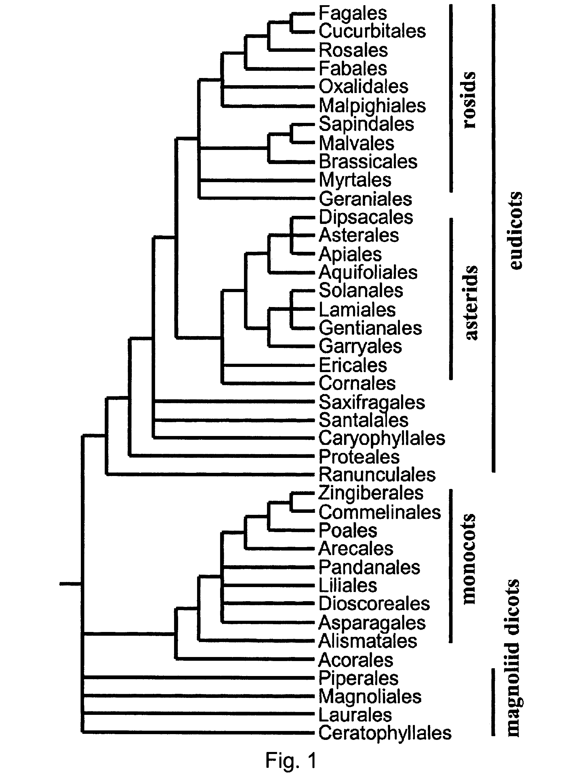 Early flowering in genetically modified plants