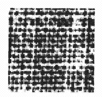 Sobel operator-based extraction method of profile and detail composite characteristic vector used for representing fabric texture