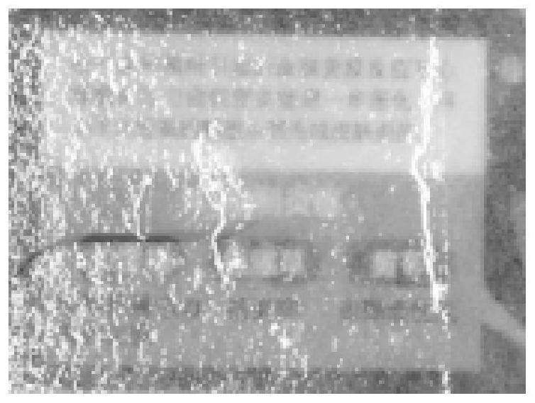 Gel mask and preparation method thereof