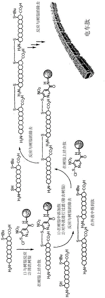 Novel compound, production method therefor, and application therefor