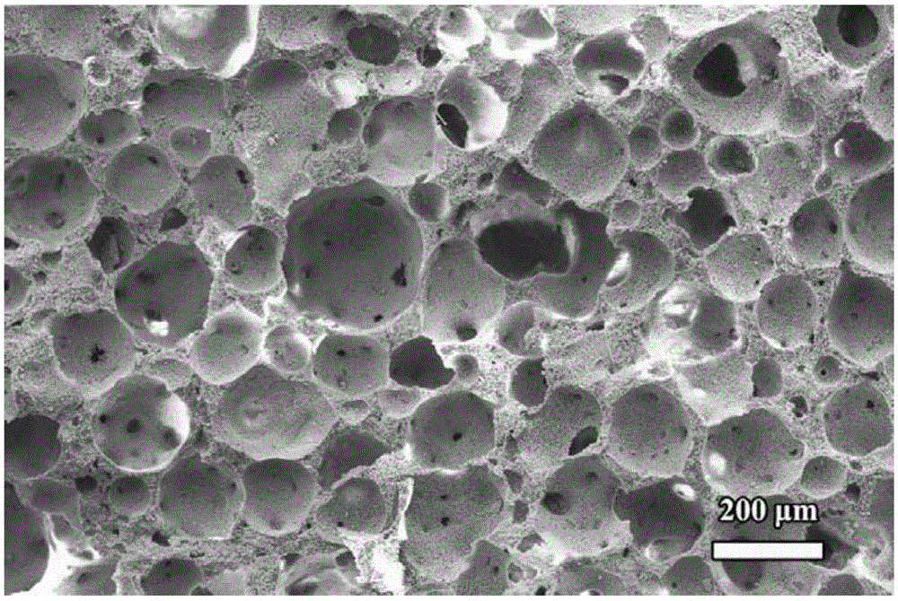 A Green Preparation Method of Lightweight and Low Thermal Conductivity γ-Y2Si2O7 Porous Ceramics